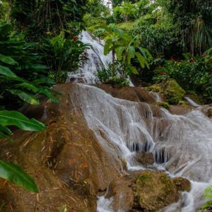 Shaw Park Gardens & Waterfalls